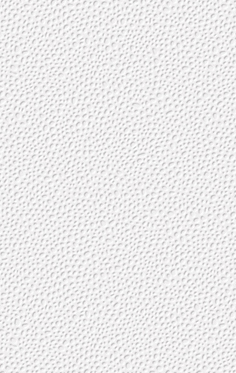 Tiles 2 Go Ltd